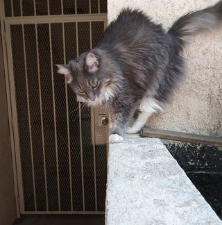 Profile Picture of Gilbert Breitzman (@gilbert.breitzman.9) on Facebook