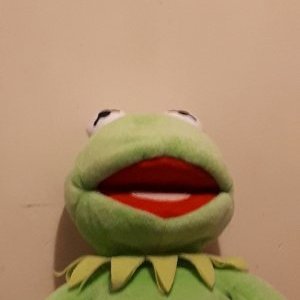 Profile Picture of Kermit The Frog (@ScottMu45979866) on Twitter