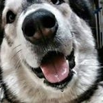 Profile Picture of Peter Mc Ewan (@peter_mc_ewan) on Instagram