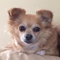 Profile Picture of Robert Ballas Jr (@robert-ballas-jr) on Quora