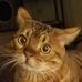 Profile Picture of Derek Engles (@derek.engles.1) on Facebook