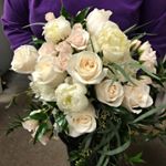 Profile Picture of Lori Joseph (@rubyshoes1465) on Instagram