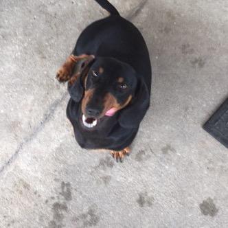 Profile Picture of Alex Ebersole (@ebersole_alex) on Twitter