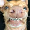 Profile Picture of antwaincampbell52 (@@antwaincampbell52) on Tiktok