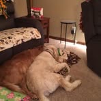 Profile Picture of Gary Schad (@gary.schad.58) on Facebook