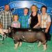 Profile Picture of Jason Howell (@howellstockfarm) on Pinterest