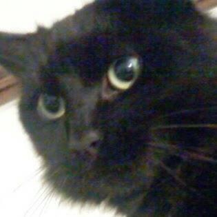 Profile Picture of Brian Yeates (@50cc980f9d5e4e7) on Twitter