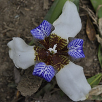 Profile Picture of Lorena  Montero (@lore montero) on Flickr