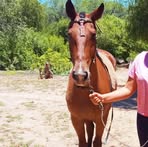 Profile Picture of Mirna Ruiz (@Mirna-Ruiz) on Facebook