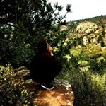 Profile Picture of Kevin Haley (@gevin_haley) on Instagram