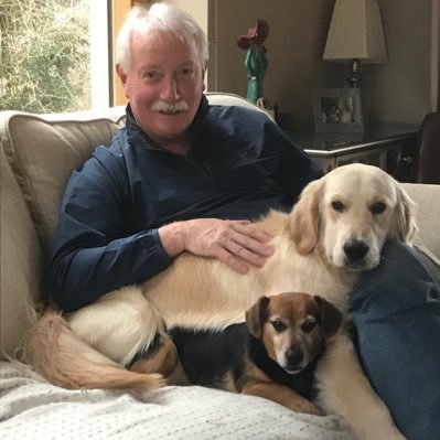 Profile Picture of Prof. William Joyce (@WilliamJoyce18) on Twitter