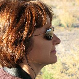 Profile Picture of Diane J Farnsworth (@djfmaui) on Twitter