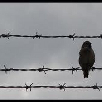 Profile Picture of Alexander Umaña Bara (@costaricense1) on Twitter