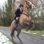 Profile Picture of Declan O'Reilly (@oreilly.declan) on Instagram
