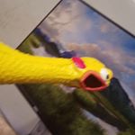 Profile Picture of richard_bean_shaw (@richard_bean_shaw) on Instagram