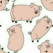 Profile Picture of Andy Michael Rogel Gallardo (@andymichaelrogelgallardo7351) on Youtube