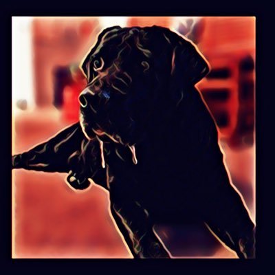Profile Picture of Tony Womack (@TonyWomack101) on Twitter