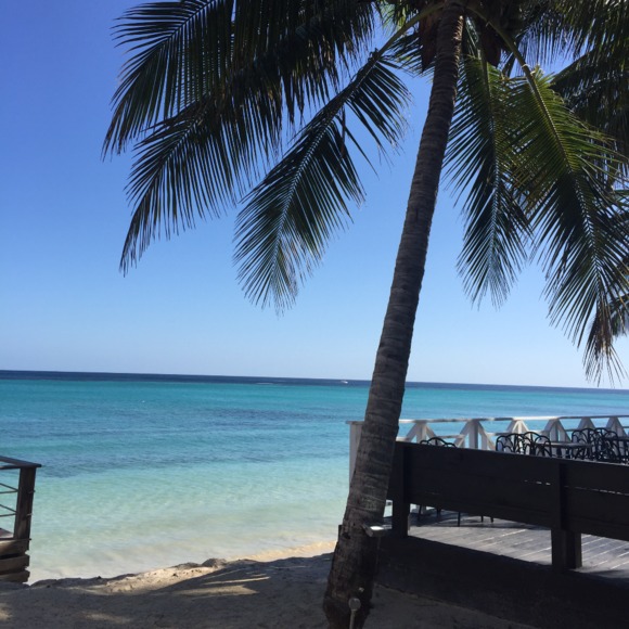 Profile Picture of Shannon Scheumann (@slcrabill) on Poshmark