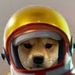 Profile Picture of Arpith Joe (@arpithjoe) on Pinterest