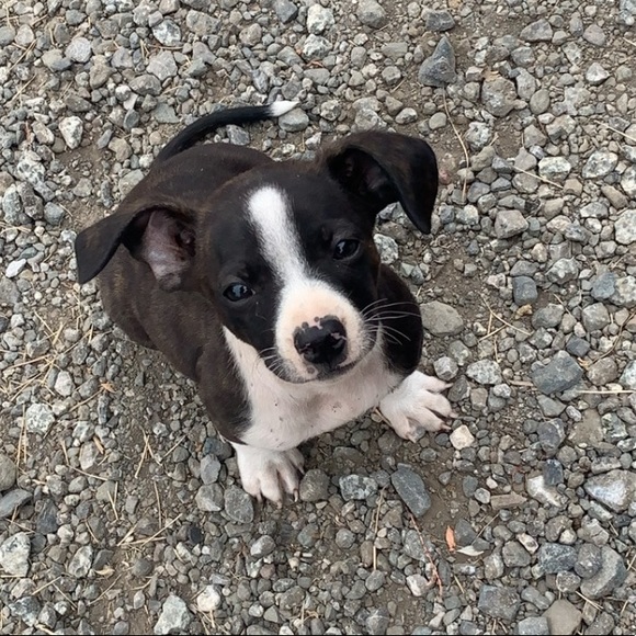 Profile Picture of Celine Gonzalez (@celine11232) on Poshmark