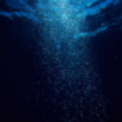 Profile Picture of Paula Mason (@paulamason385) on Twitter