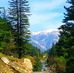 Profile Picture of Mujtaba Assad (@mujtaba.assad.50) on Facebook
