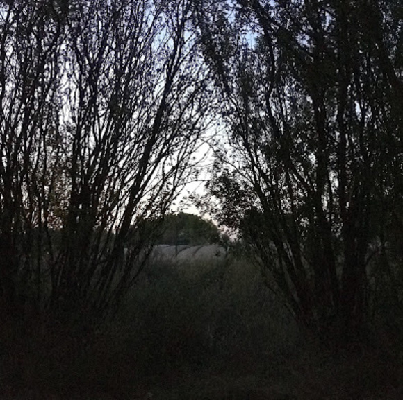 Profile Picture of Madison Wolbaum (@madisonwolbaum) on Poshmark