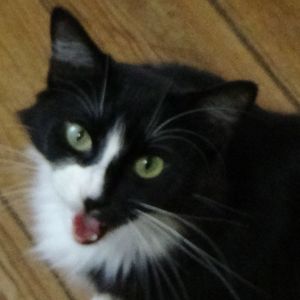 Madi Graham - Myspace Profile Picture of Madi Graham (@madi.graham._btx) on Myspace