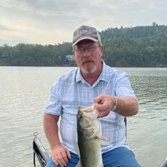 Profile Picture of Gordon (@@gordontimmons) on Tiktok
