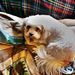 Profile Picture of Gary Schaeffer (@garyschaeffer1) on Pinterest