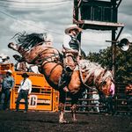 Profile Picture of Joe Meyer (@joe.meyer.338) on Instagram