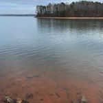 Profile Picture of Patrick Wojcik (@sc_trout_fishing) on Instagram
