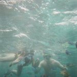 Mark Kopec - Instagram Profile Picture of Mark Kopec (@anothermarkus) on Instagram