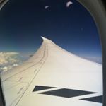 Profile Picture of Dexter Al (@dexteriflorida) on Instagram