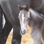 Profile Picture of Bente Anegaard Michaelsen (@Bente-Anegaard-Michaelsen) on Facebook