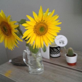 Profile Picture of Daniel Annie (@daniel.annie.393) on Facebook