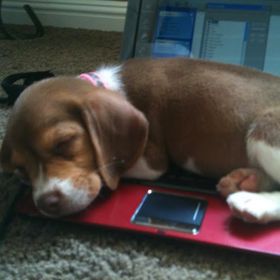 Profile Picture of Michael Ghrist (@13g7njalbpangde) on Pinterest