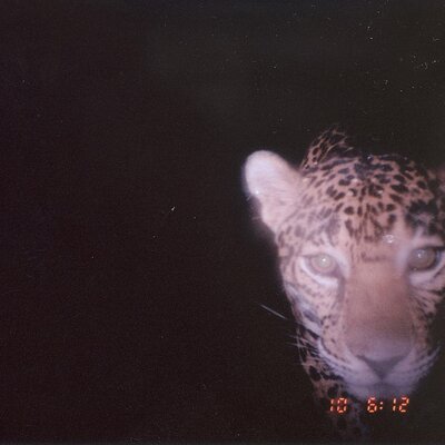 Profile Picture of John Mars Eddie (@john_rules) on Twitter