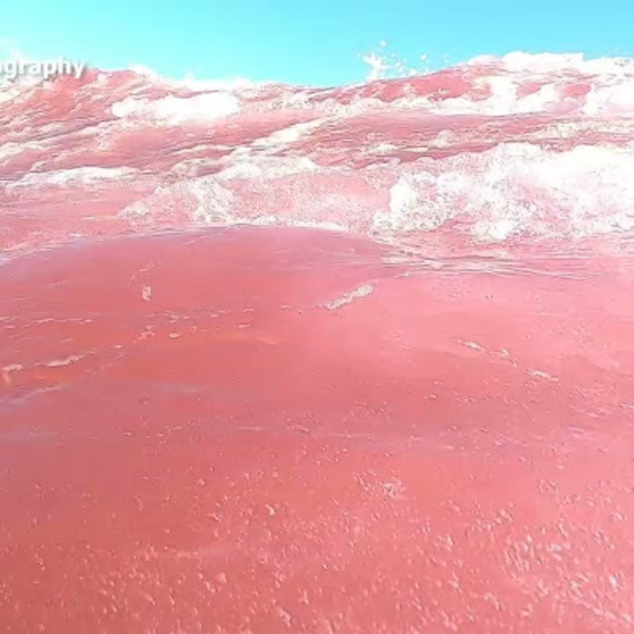 Profile Picture of Paislee Helminiak (@helmipa16) on Poshmark