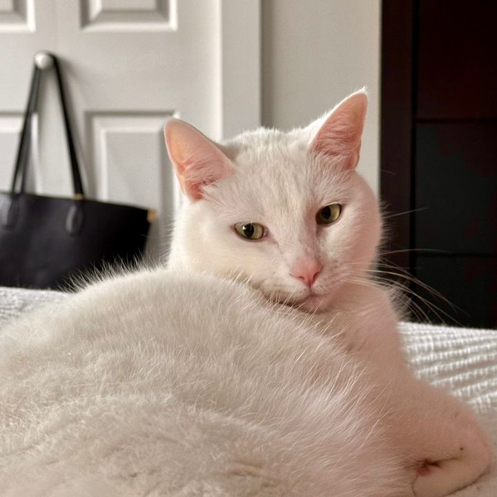 Aspen - Tiktok Profile Picture of Aspen (@this.is.aspen12) on Tiktok