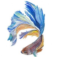 Profile Picture of Nicole Kerber (@nicole-kerber-5) on Quora