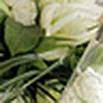 Profile Picture of Debbie Hudson (@DHudsonphotos@yahoo.co.uk) on Flickr