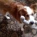 Profile Picture of Jennifer Adkisson Dennisson (@jenniferdenniss) on Pinterest