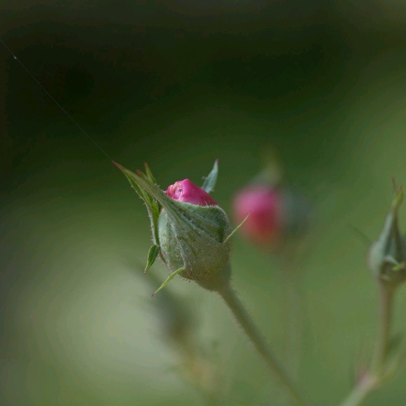 Sandra Timson - Poshmark Profile Picture of Sandra Timson (@sandilee99) on Poshmark