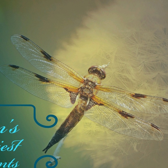 Profile Picture of Gilbert Rodriguez (@gibby03469) on Poshmark