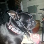 Profile Picture of zachary (@zacharyculp699) on Instagram