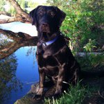 Profile Picture of Patrick Vogt (@trick688) on Instagram