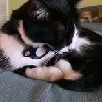 Profile Picture of Cecilia Green (@Cecilia-Green) on Facebook