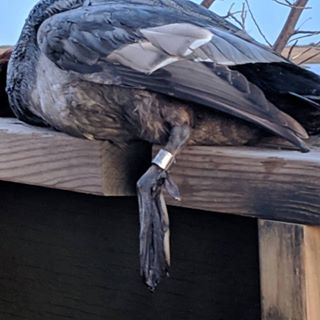 Profile Picture of Matthew Downs (@mpdowns) on Facebook