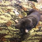 Profile Picture of Skyler Simpkins (@skyler.simpkins.50) on Facebook